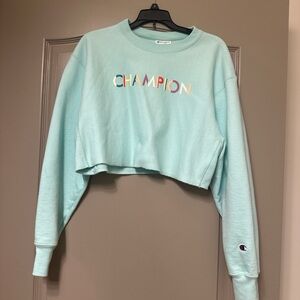Champion Women's Light Blue Cropped Sweater